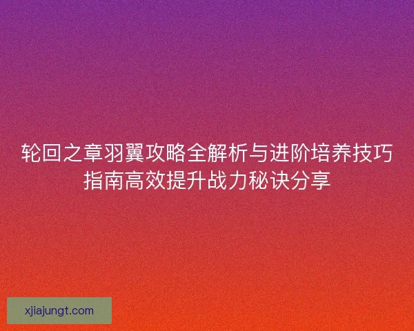 轮回之章羽翼攻略全解析与进阶培养技巧指南高效提升战力秘诀分享
