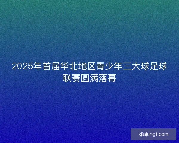 2025年首届华北地区青少年三大球足球联赛圆满落幕