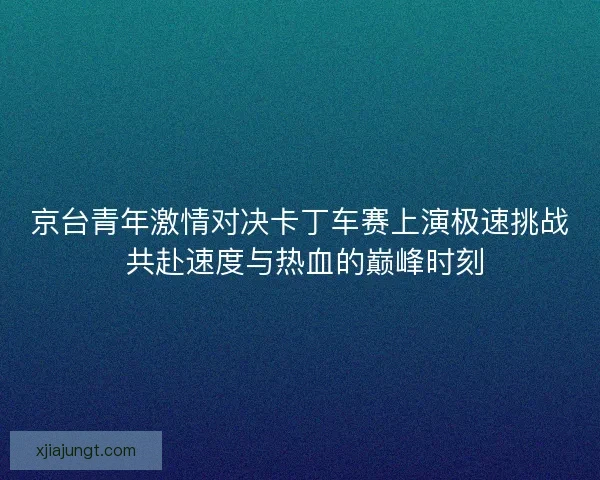 京台青年激情对决卡丁车赛上演极速挑战 共赴速度与热血的巅峰时刻