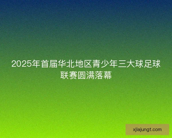 2025年首届华北地区青少年三大球足球联赛圆满落幕